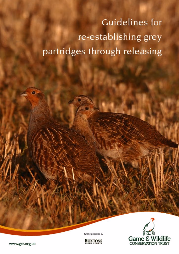 Cover of Guidelines for Re-establishing Grey Partridges Through Releasing